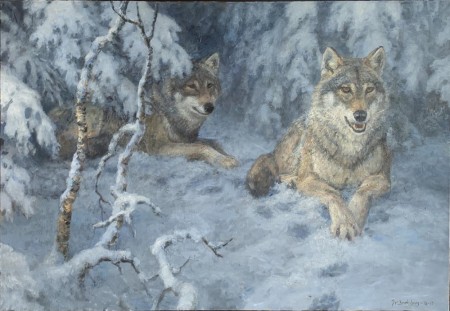 Hvile-Ulvepar i vinterskog