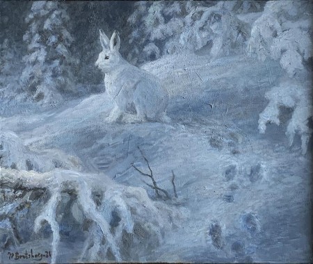 Hare – vinternatt