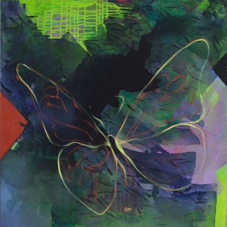 ENDRING_ Sommerfugl Lepidoptera